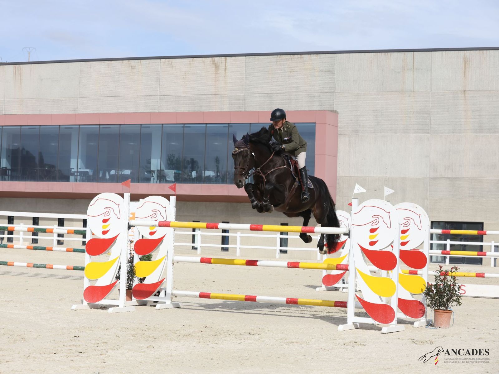 Cto España Caballos Nacionales 2025