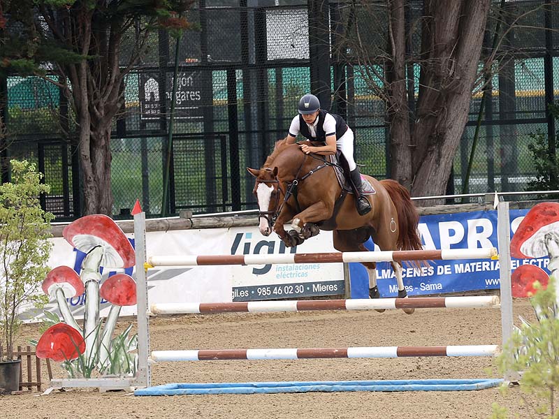 CDE ganadores en el CSN3* CHAS-Gijón