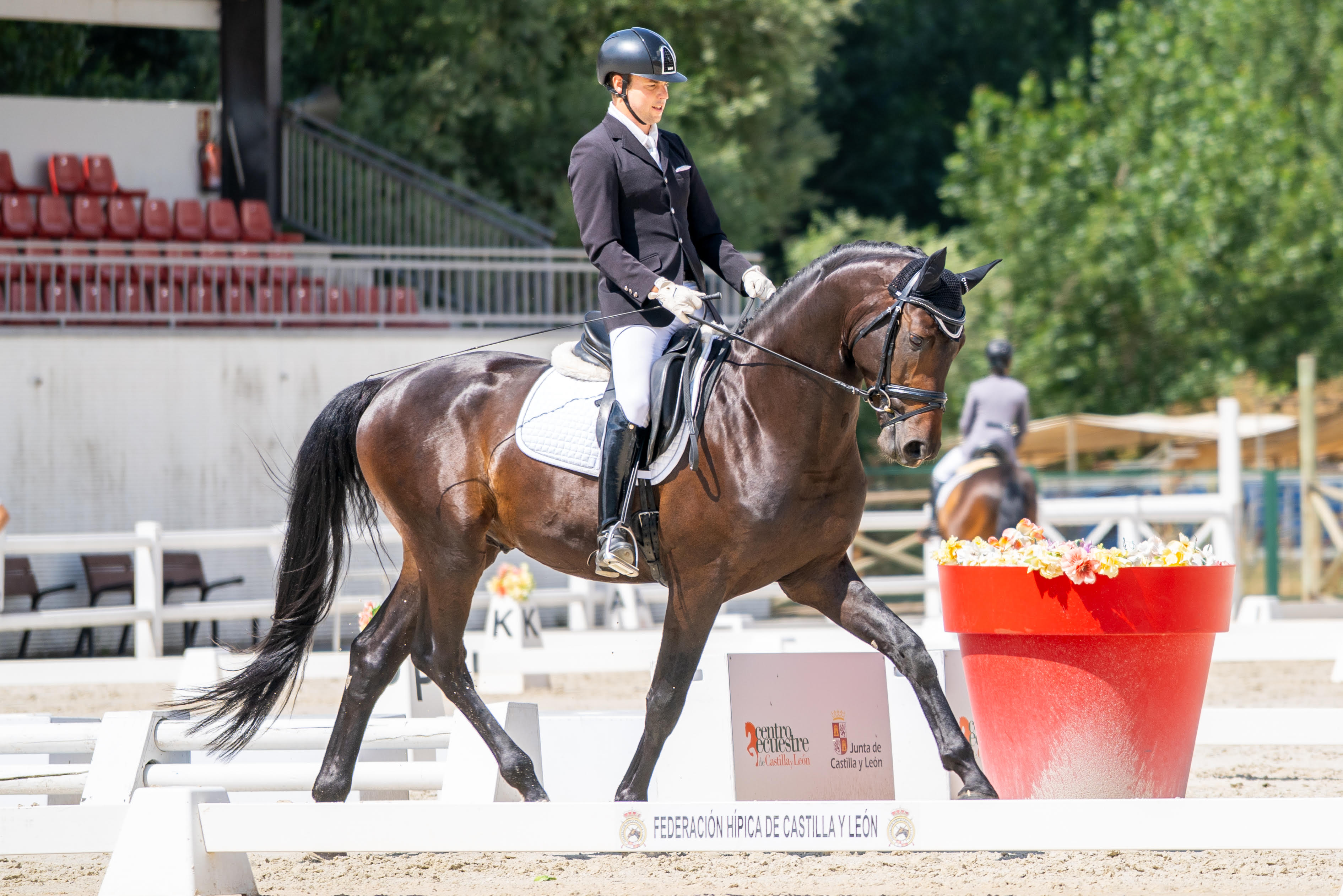 Dos CDE en el Campeonato del Mundo de Verden
