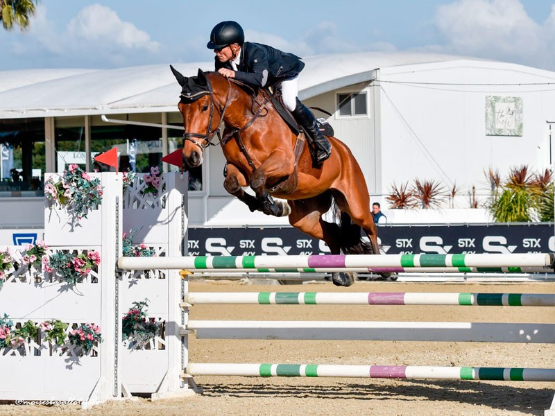 Cuatro CDE en la próxima subasta de Spanish Sport Horse Auction