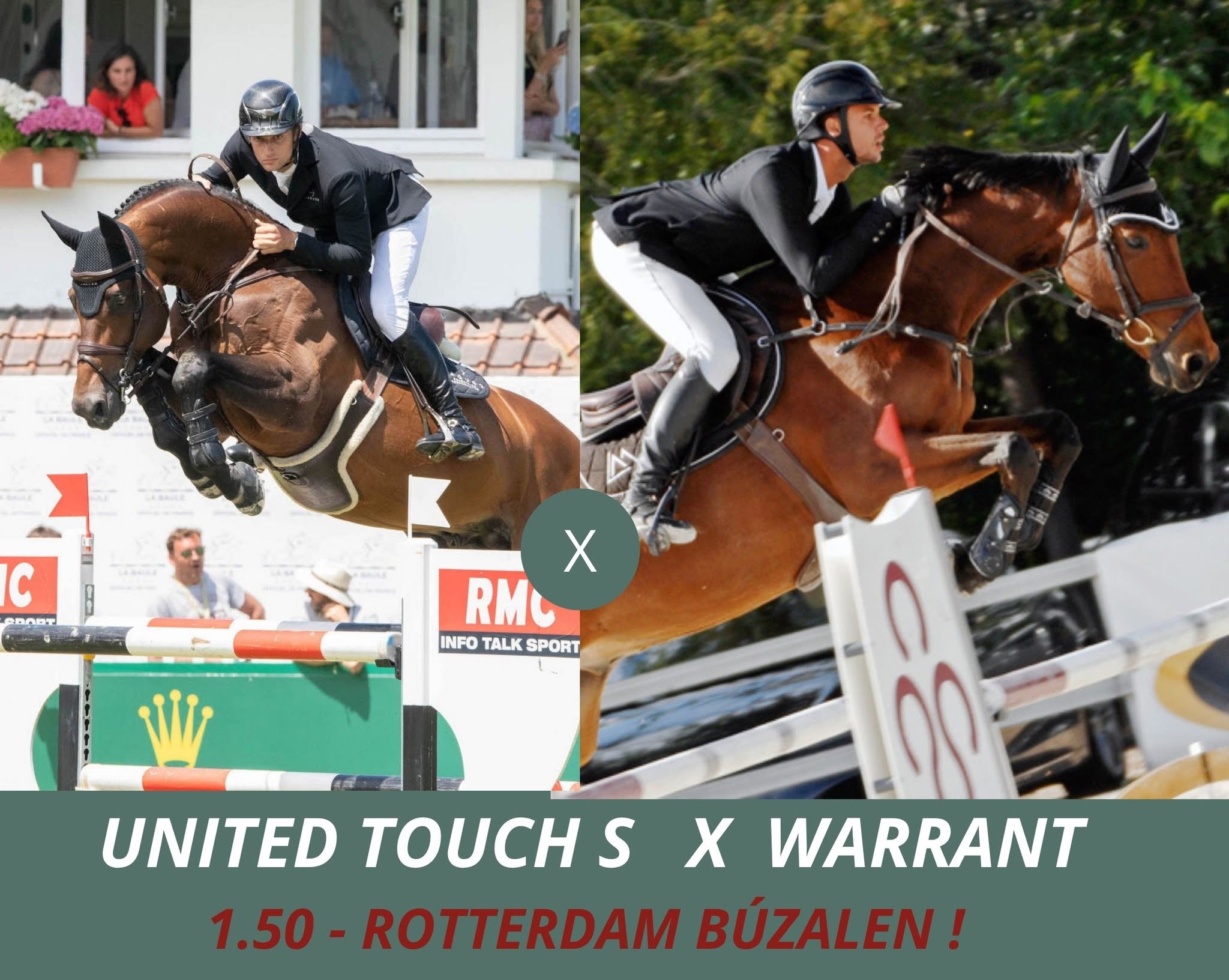 Embrión de “United Touch S” y “Rotterdam de Buzalén” en la Subasta SSHA