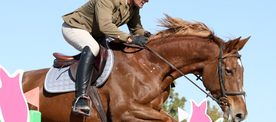 Buena nota para “Rona de Sil” en el CSN3* Valdemoro