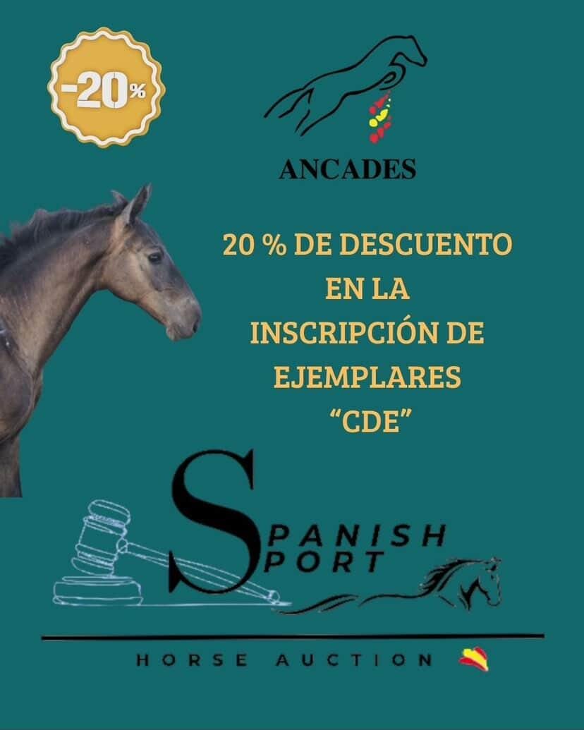 Subasta SSH: Inscripciones y descuentos para los CDE